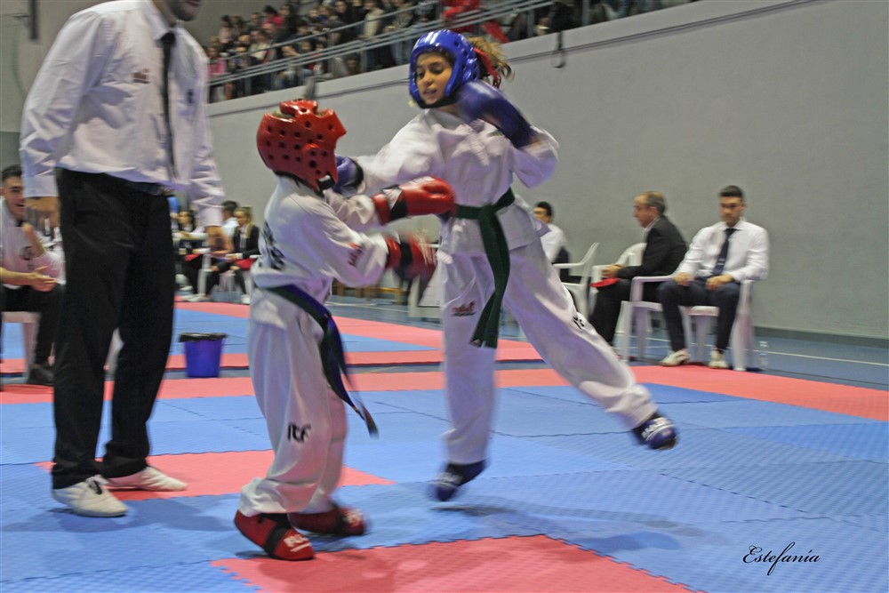 Copa Seul 2018 (481).jpg